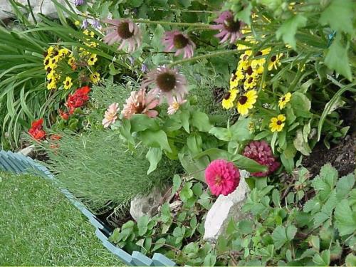 Flowers 2005 01