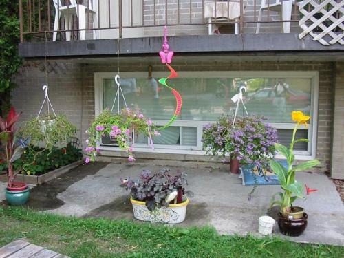 Flowers 2005 02