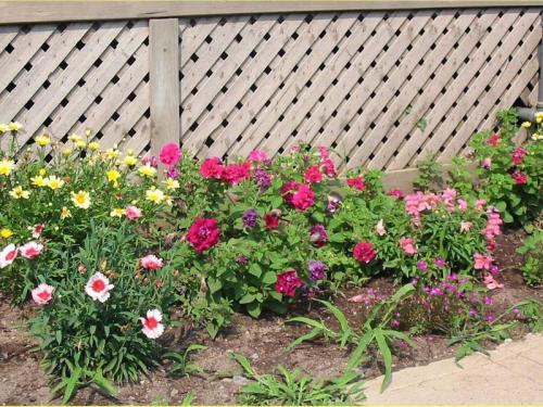 Flowers 2005 04