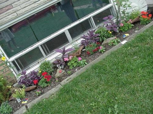 Flowers 2005 07