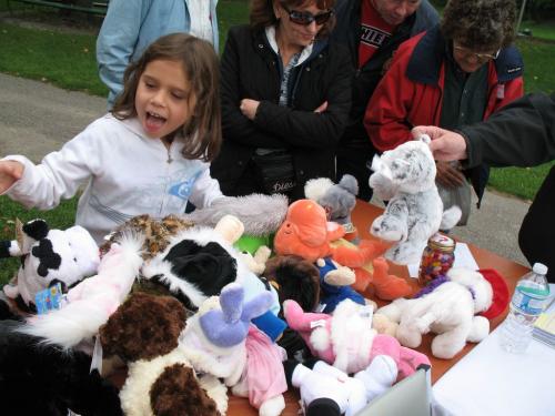 Picnic 2010 00007