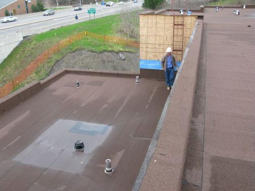 2013-04-30 PP Angus-on-lower-roof