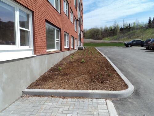 2014-05-12 plant-bed