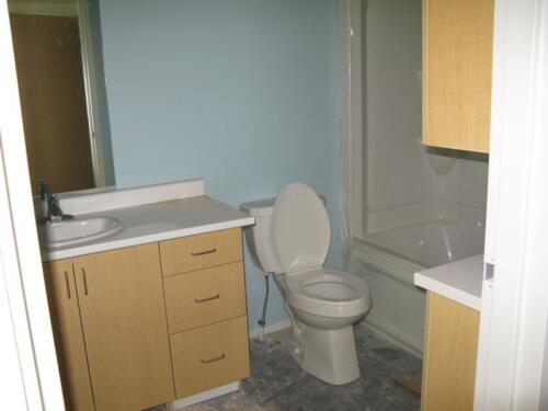 2014-01-31 typical-washroom