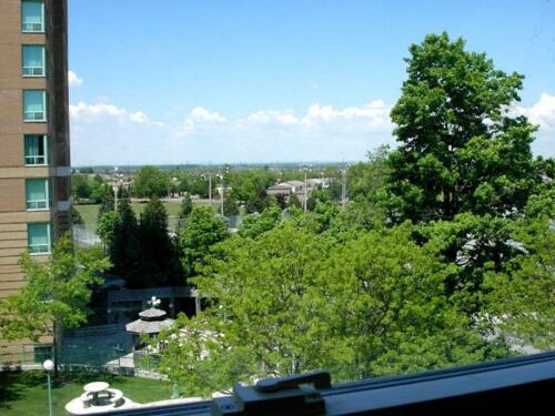 203-room-with-a-view-06-01-05