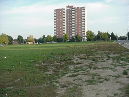 Site 6